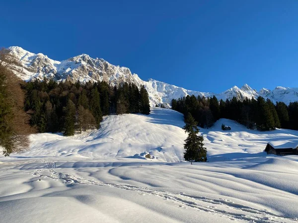 Maravillosas Rutas Senderismo Invierno Rastros Cubierta Nieve Alpina Fresca Los — Foto de Stock