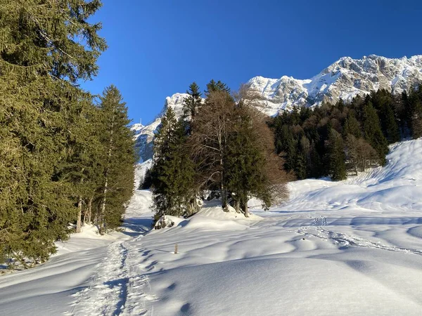 Nádherné Zimní Turistické Stezky Stopy Čerstvém Vysokohorském Sněhu Švýcarských Alp — Stock fotografie