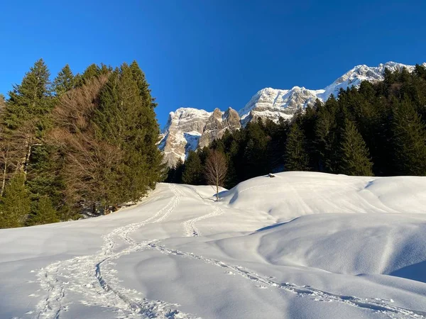 Meravigliosi Sentieri Escursionistici Invernali Tracce Sulla Fresca Copertura Alpina Delle — Foto Stock