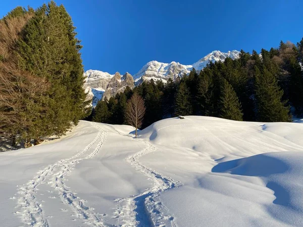Maravilhosas Trilhas Para Caminhadas Inverno Vestígios Cobertura Neve Alpina Fresca — Fotografia de Stock