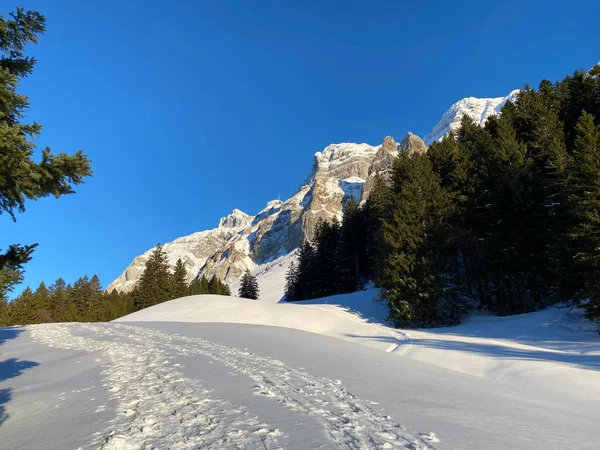 Чудесний Зимовий Пішохідний Маршрут Сліди Свіжому Сніговому Покритті Швейцарських Альп — стокове фото