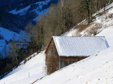 İsviçre çayırlarındaki yerli dağ kulübeleri ve ahşap ahırlar taze beyaz kar örtüsüyle kaplıdır, Alt St. Johann - Obertoggenburg, İsviçre (Schweiz)