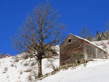 İsviçre çayırlarındaki yerli dağ kulübeleri ve ahşap ahırlar taze beyaz kar örtüsüyle kaplıdır, Alt St. Johann - Obertoggenburg, İsviçre (Schweiz)