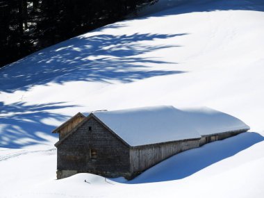 İsviçre çayırlarındaki yerli dağ kulübeleri ve ahşap ahırlar taze beyaz kar örtüsüyle kaplıdır, Alt St. Johann - Obertoggenburg, İsviçre (Schweiz)