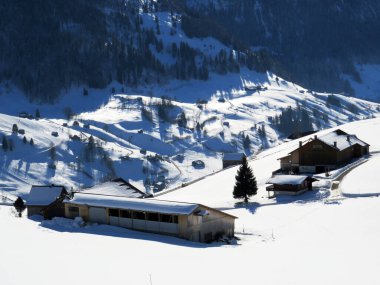 İsviçre çayırlarındaki yerli dağ kulübeleri ve ahşap ahırlar taze beyaz kar örtüsüyle kaplıdır, Alt St. Johann - Obertoggenburg, İsviçre (Schweiz)