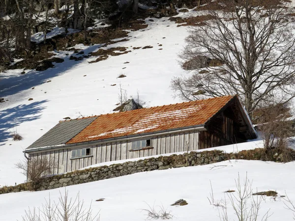 Cabañas Alpinas Indígenas Establos Madera Pastos Suizos Cubiertos Nieve Blanca — Foto de Stock