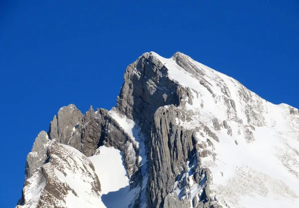 Cobertor Branco Pico Alpino Wildhuser Schofberg Wildhuser Schafberg 2373 Cordilheira — Fotografia de Stock