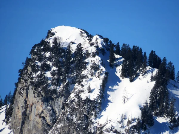 Λευκή Κουβέρτα Στην Αλπική Κορυφή Gogeien 1655 Στο Appenzell Alps — Φωτογραφία Αρχείου