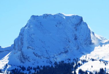 Toggenburg bölgesi ile Walensee Gölü veya Walenstadt Gölü arasında yer alan Churfirsten dağ sırasındaki Brisi (2278 m) karlı dağ zirvesi (Schweiz)
