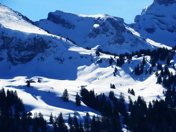 Juego Mágico Sol Sombra Durante Invierno Alpino Las Laderas Nevadas —  Fotos de Stock