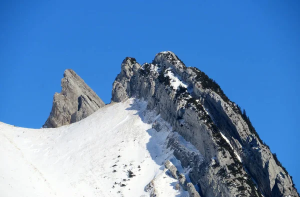 눈덮인 알프스 바위인 베르그 슈타인 산맥에 와일드 베리이고 알프스 요한네스 — 스톡 사진