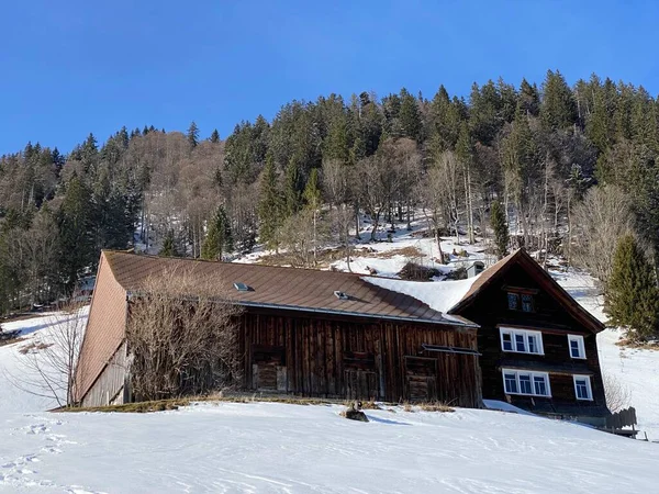 Arquitectura Tradicional Suiza Casas Alpinas Madera Ambiente Invernal Cubierta Nieve — Foto de Stock