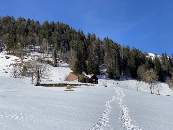 Geleneksel Sviçre Mimarisi Beyaz Kar Örtüsünün Kış Ortamında Ahşap Alp — Stok fotoğraf