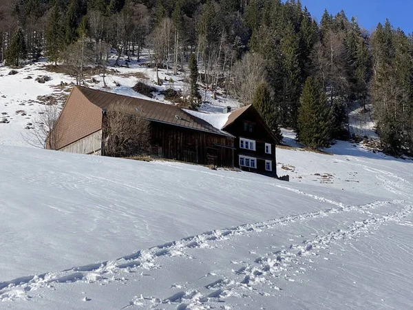新鮮な白い雪のカバーの冬の雰囲気の中で伝統的なスイスの建築と木製の高山の家 アルト セント ヨハン Obertoggenburg スイス スイス — ストック写真