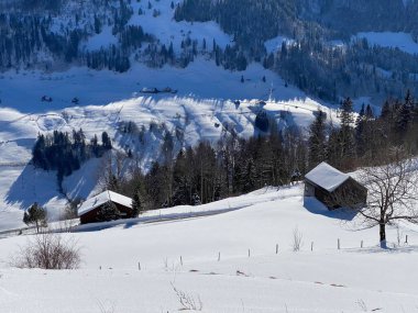 İsviçre çayırlarındaki yerli dağ kulübeleri ve ahşap ahırlar taze beyaz kar örtüsüyle kaplıdır, Alt St. Johann - Obertoggenburg, İsviçre (Schweiz)