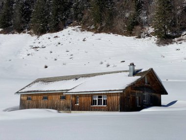 İsviçre çayırlarındaki yerli dağ kulübeleri ve ahşap ahırlar taze beyaz kar örtüsüyle kaplıdır, Alt St. Johann - Obertoggenburg, İsviçre (Schweiz)