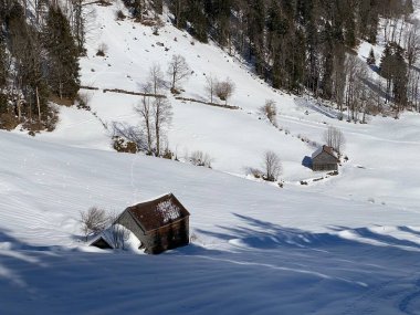 İsviçre çayırlarındaki yerli dağ kulübeleri ve ahşap ahırlar taze beyaz kar örtüsüyle kaplıdır, Alt St. Johann - Obertoggenburg, İsviçre (Schweiz)