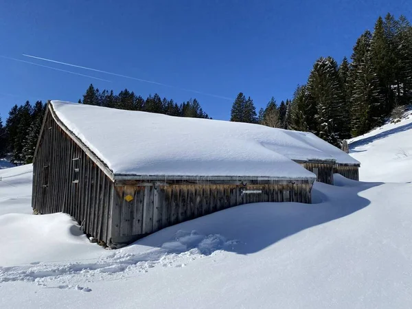 Cabañas Alpinas Indígenas Establos Madera Pastos Suizos Cubiertos Nieve Blanca — Foto de Stock