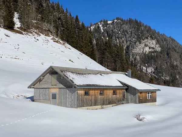 Indigenous Alpine Huts Wooden Cattle Stables Swiss Pastures Covered Fresh — Stock Photo, Image