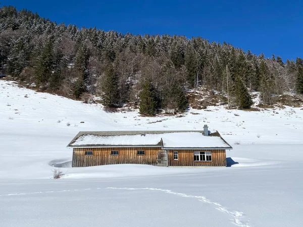 Indigenous Alpine Huts Wooden Cattle Stables Swiss Pastures Covered Fresh — Stock Photo, Image