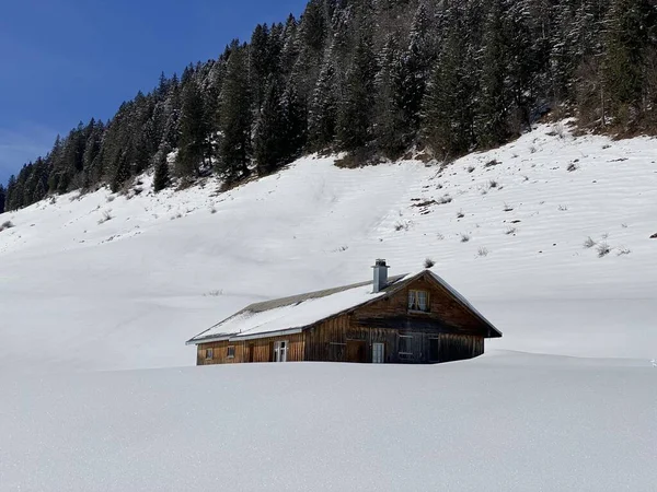 Cabañas Alpinas Indígenas Establos Madera Pastos Suizos Cubiertos Nieve Blanca — Foto de Stock