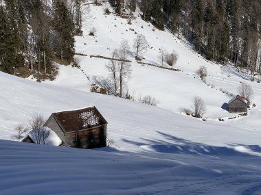 İsviçre çayırlarındaki yerli dağ kulübeleri ve ahşap ahırlar taze beyaz kar örtüsüyle kaplıdır, Alt St. Johann - Obertoggenburg, İsviçre (Schweiz)