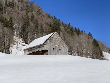 İsviçre çayırlarındaki yerli dağ kulübeleri ve ahşap ahırlar taze beyaz kar örtüsüyle kaplıdır, Alt St. Johann - Obertoggenburg, İsviçre (Schweiz)