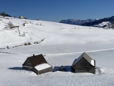 İsviçre çayırlarındaki yerli dağ kulübeleri ve ahşap ahırlar taze beyaz kar örtüsüyle kaplıdır, Alt St. Johann - Obertoggenburg, İsviçre (Schweiz)