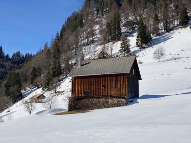 İsviçre çayırlarındaki yerli dağ kulübeleri ve ahşap ahırlar taze beyaz kar örtüsüyle kaplıdır, Alt St. Johann - Obertoggenburg, İsviçre (Schweiz)