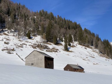 İsviçre çayırlarındaki yerli dağ kulübeleri ve ahşap ahırlar taze beyaz kar örtüsüyle kaplıdır, Alt St. Johann - Obertoggenburg, İsviçre (Schweiz)