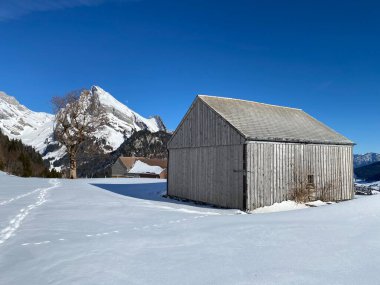 İsviçre çayırlarındaki yerli dağ kulübeleri ve ahşap ahırlar taze beyaz kar örtüsüyle kaplıdır, Alt St. Johann - Obertoggenburg, İsviçre (Schweiz)