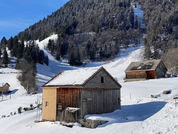 Původní Alpské Chaty Dřevěné Stáje Švýcarských Pastvinách Pokryté Čerstvě Bílou — Stock fotografie