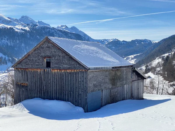 スイスの牧草地に新鮮な白い雪に覆われた先住民の高山の小屋と木製の牛の厩舎 アルト セント ヨハン Obertoggenburg スイス スイス — ストック写真
