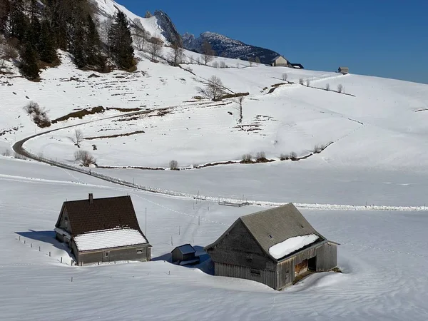 Sviçre Çayırlarındaki Yerli Dağ Kulübeleri Ahşap Ahırlar Taze Beyaz Kar — Stok fotoğraf