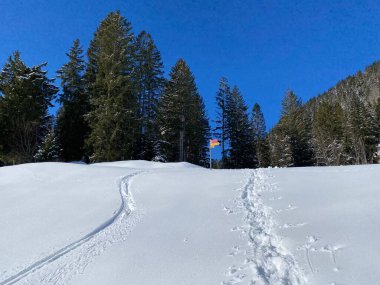 Alpstein Dağları 'nın yamaçlarında ve İsviçre Alpleri' nin taze Alp Dağları 'nın kar örtüsünde - Alt St. Johann, İsviçre (Schweiz)