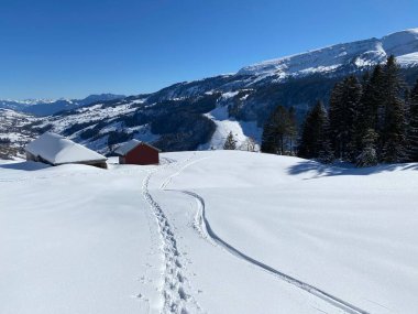 Alpstein Dağları 'nın yamaçlarında ve İsviçre Alpleri' nin taze Alp Dağları 'nın kar örtüsünde - Alt St. Johann, İsviçre (Schweiz)