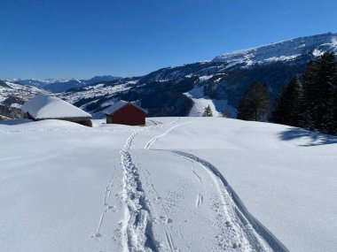 Alpstein Dağları 'nın yamaçlarında ve İsviçre Alpleri' nin taze Alp Dağları 'nın kar örtüsünde - Alt St. Johann, İsviçre (Schweiz)