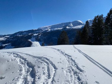 Alpstein Dağları 'nın yamaçlarında ve İsviçre Alpleri' nin taze Alp Dağları 'nın kar örtüsünde - Alt St. Johann, İsviçre (Schweiz)
