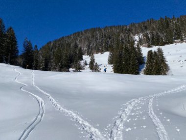 Alpstein Dağları 'nın yamaçlarında ve İsviçre Alpleri' nin taze Alp Dağları 'nın kar örtüsünde - Alt St. Johann, İsviçre (Schweiz)