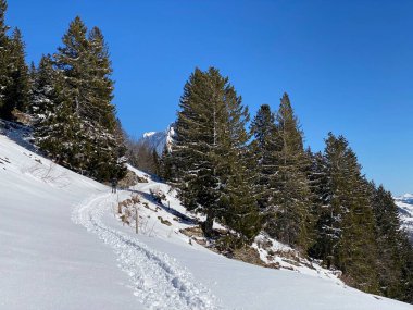Alpstein Dağları 'nın yamaçlarında ve İsviçre Alpleri' nin taze Alp Dağları 'nın kar örtüsünde - Alt St. Johann, İsviçre (Schweiz)