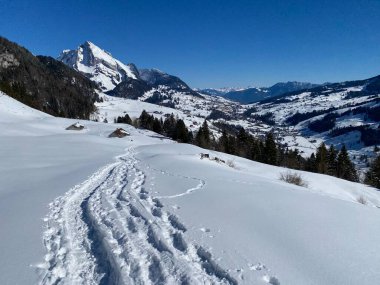 Alpstein Dağları 'nın yamaçlarında ve İsviçre Alpleri' nin taze Alp Dağları 'nın kar örtüsünde - Alt St. Johann, İsviçre (Schweiz)
