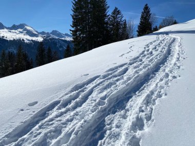 Alpstein Dağları 'nın yamaçlarında ve İsviçre Alpleri' nin taze Alp Dağları 'nın kar örtüsünde - Alt St. Johann, İsviçre (Schweiz)