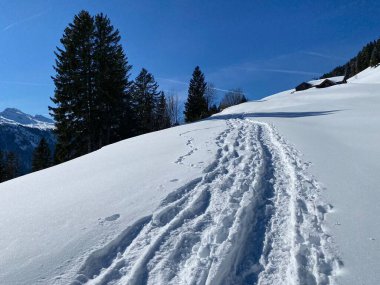 Alpstein Dağları 'nın yamaçlarında ve İsviçre Alpleri' nin taze Alp Dağları 'nın kar örtüsünde - Alt St. Johann, İsviçre (Schweiz)