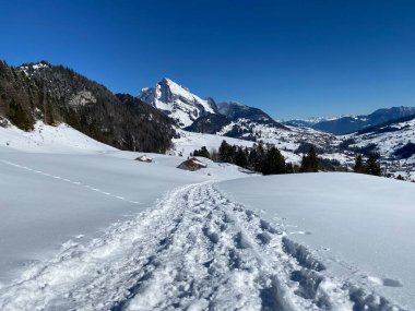 Alpstein Dağları 'nın yamaçlarında ve İsviçre Alpleri' nin taze Alp Dağları 'nın kar örtüsünde - Alt St. Johann, İsviçre (Schweiz)