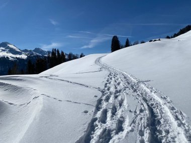 Alpstein Dağları 'nın yamaçlarında ve İsviçre Alpleri' nin taze Alp Dağları 'nın kar örtüsünde - Alt St. Johann, İsviçre (Schweiz)