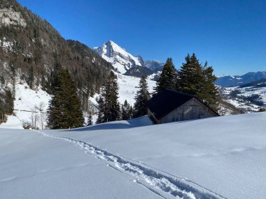Alpstein Dağları 'nın yamaçlarında ve İsviçre Alpleri' nin taze Alp Dağları 'nın kar örtüsünde - Alt St. Johann, İsviçre (Schweiz)