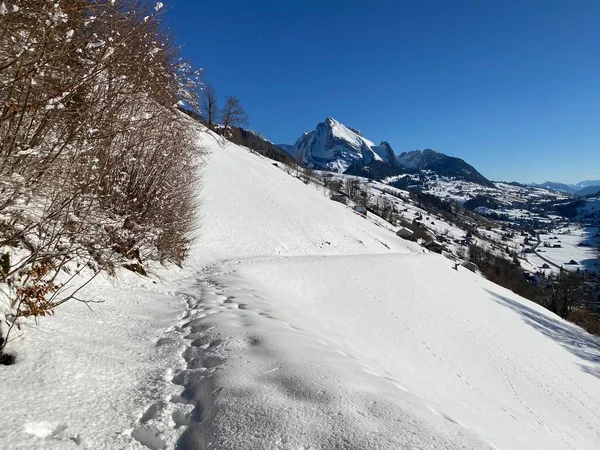 Prachtige Winterwandelwegen Sporen Hellingen Van Alpstein Bergketen Frisse Alpiene Sneeuwbedekking — Stockfoto