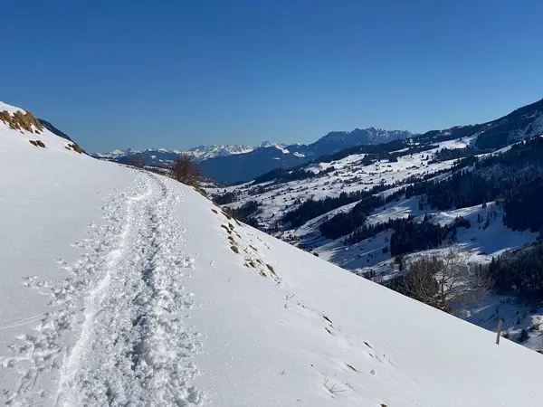 Прекрасные Зимние Пешеходные Маршруты Трассы Склонах Альпштейнского Хребта Свежем Альпийском — стоковое фото