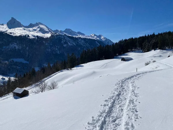 素晴らしい冬のハイキングコースとアルプシュタイン山脈の斜面やスイスアルプスの新鮮な高山雪のカバーでの痕跡 Alt ヨハン スイス スイス — ストック写真