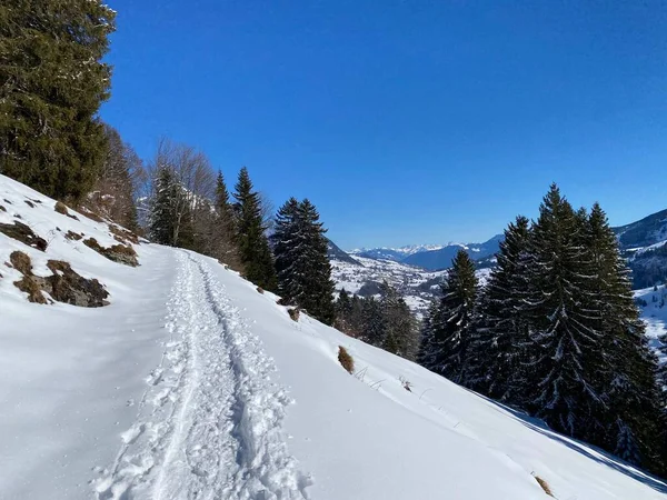在阿尔卑斯泰因山脉的斜坡上 以及在瑞士阿尔卑斯山 圣约翰阿尔卑斯山 施韦兹 新鲜的高山雪盖上 都有极好的冬季远足小径和足迹 — 图库照片